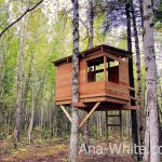 modern kids treehouse