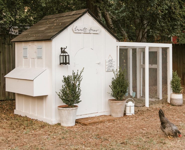 DIY Farmhouse Chicken Coop