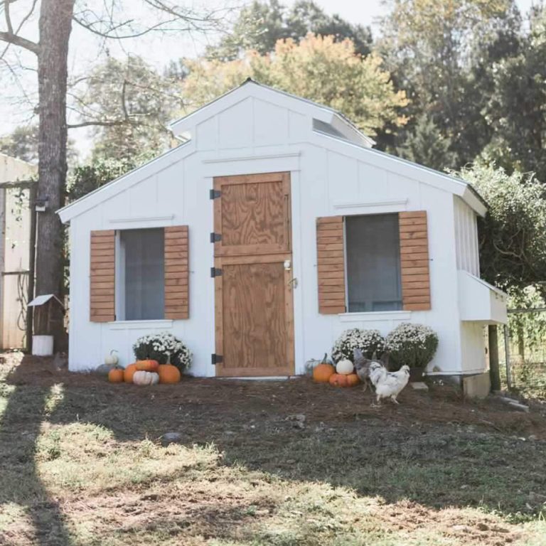 Barn Style Chicken Coop With Storage Spruc*d Market